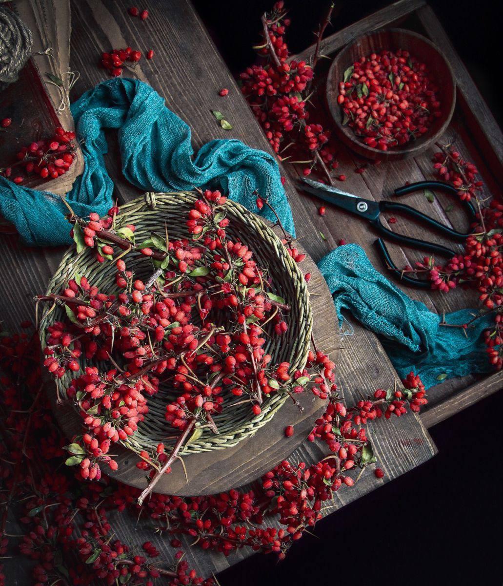 Zereshk — A Ruby Thread in Persian Cuisine