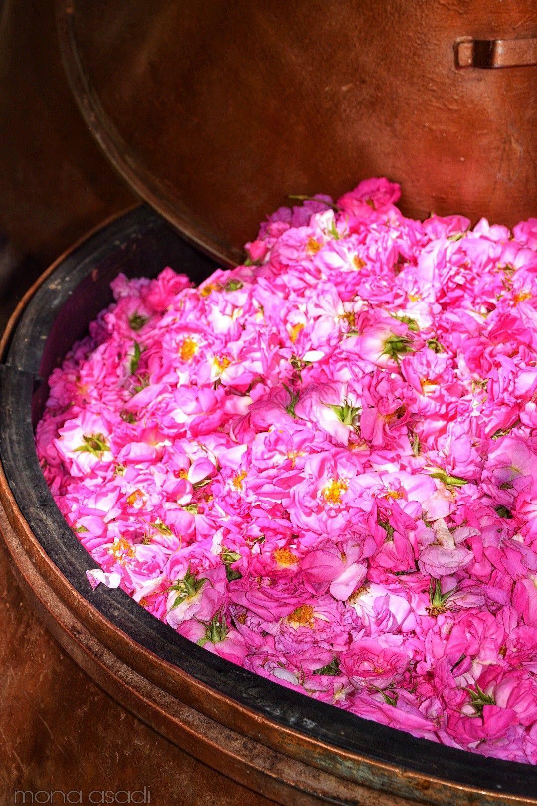 Clarity, Aroma, Balance