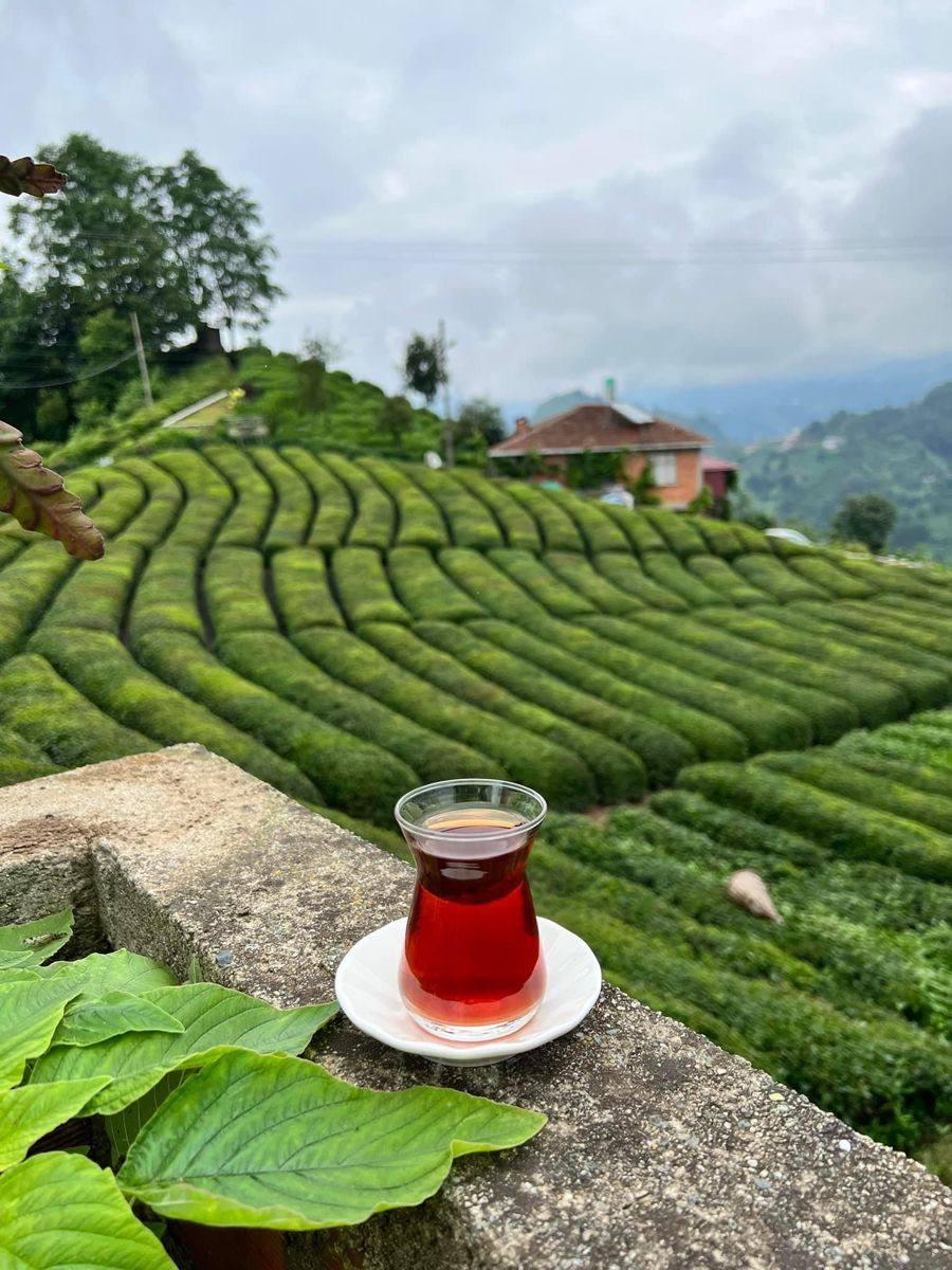 Persian Tea — Steam, Story, Hospitality